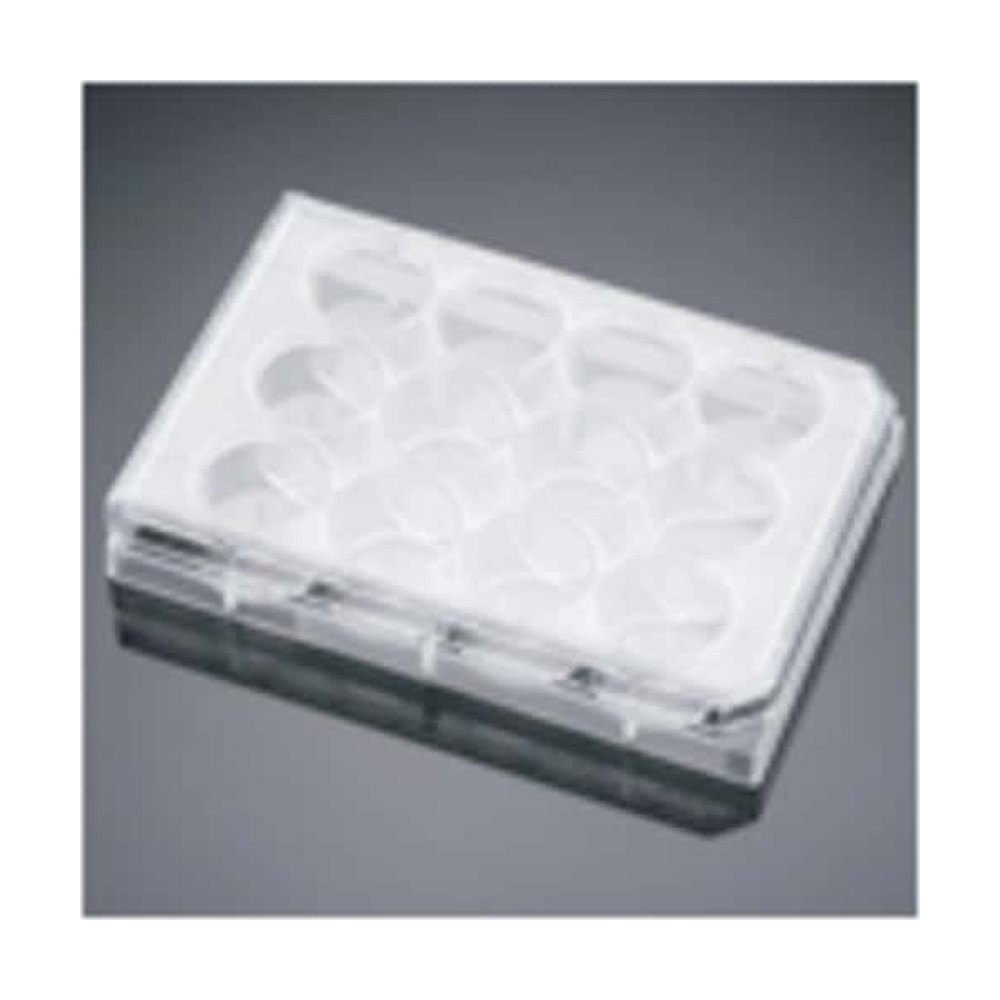 Corning&trade;&nbsp;Plaque multipuits en fibronectine BioCoat&trade;