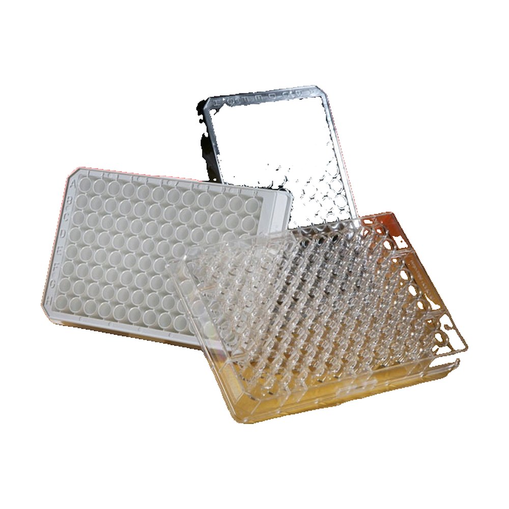 Thermo Scientific™ Plaques revêtues d’anticorps de chèvre anti-IgG de lapin Pierce™, transparentes, 96 puits