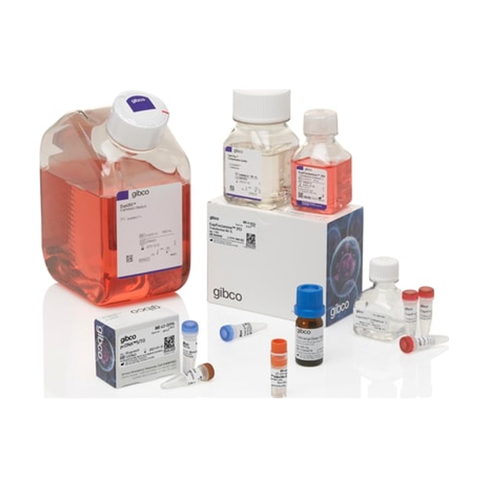 Gibco&trade;&nbsp;Kit système d’expression inductible Expi293&trade;