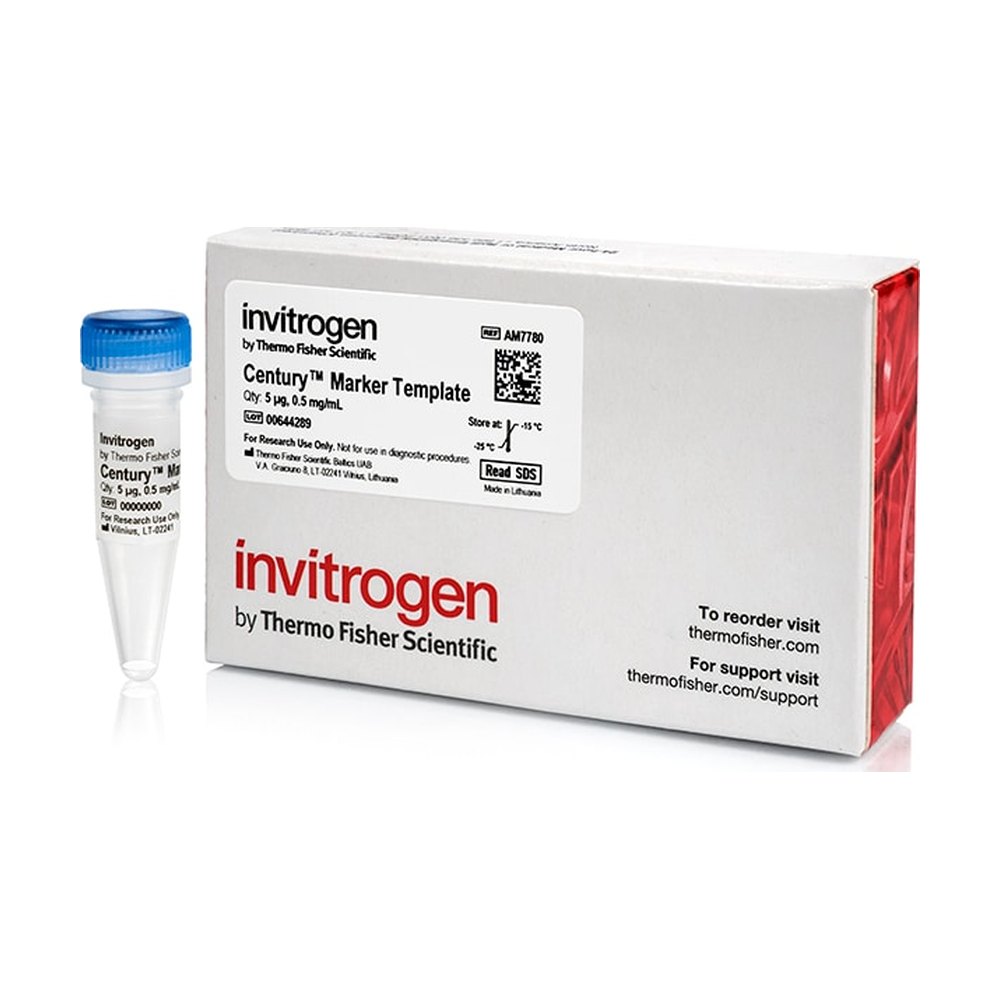 Invitrogen™ RNA Century™ Marker Templates