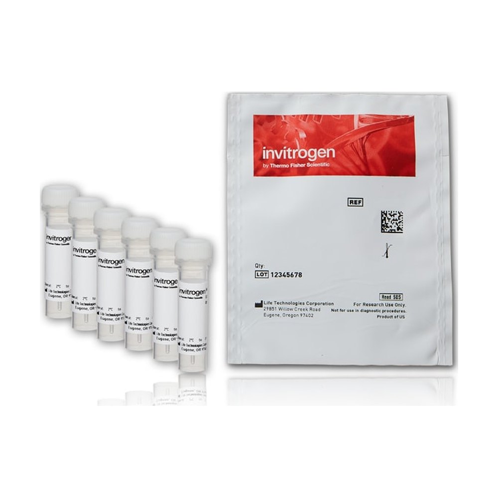 Novex&trade;&nbsp;Qdot&trade; Streptavidin Sampler Kit