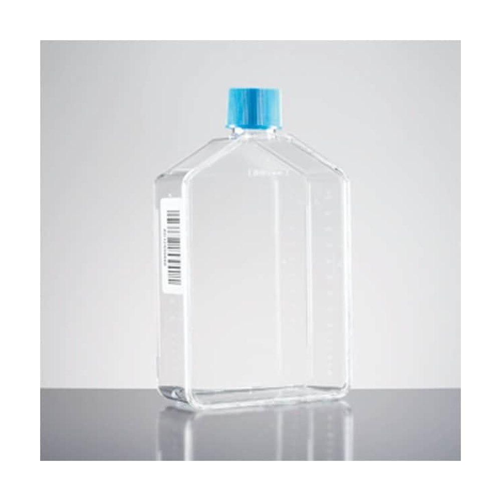 Falcon&trade;&nbsp;Flacons traités pour culture cellulaire