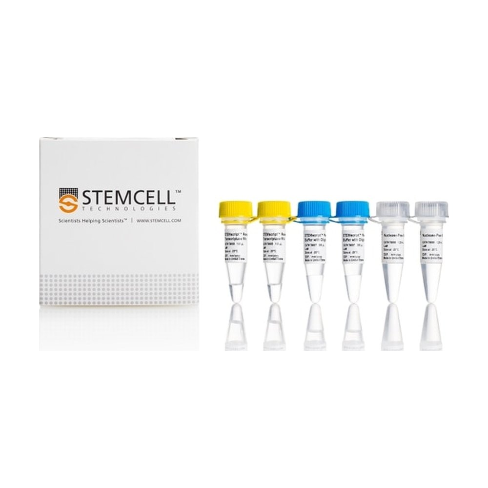 STEMCELL Technologies&nbsp;STEMscript&trade; cDNA Synthesis Kit with Random Primers