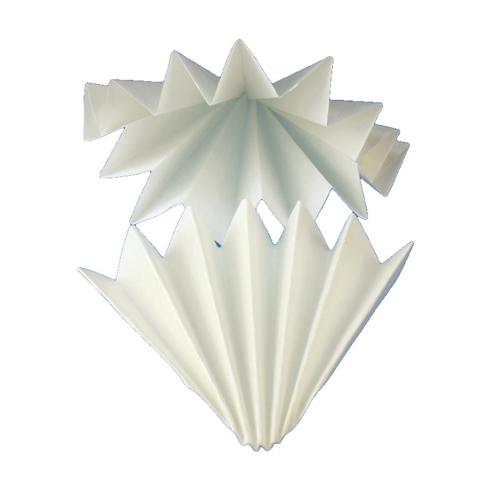 Karl Hecht&trade;&nbsp;Papier filtre plissé