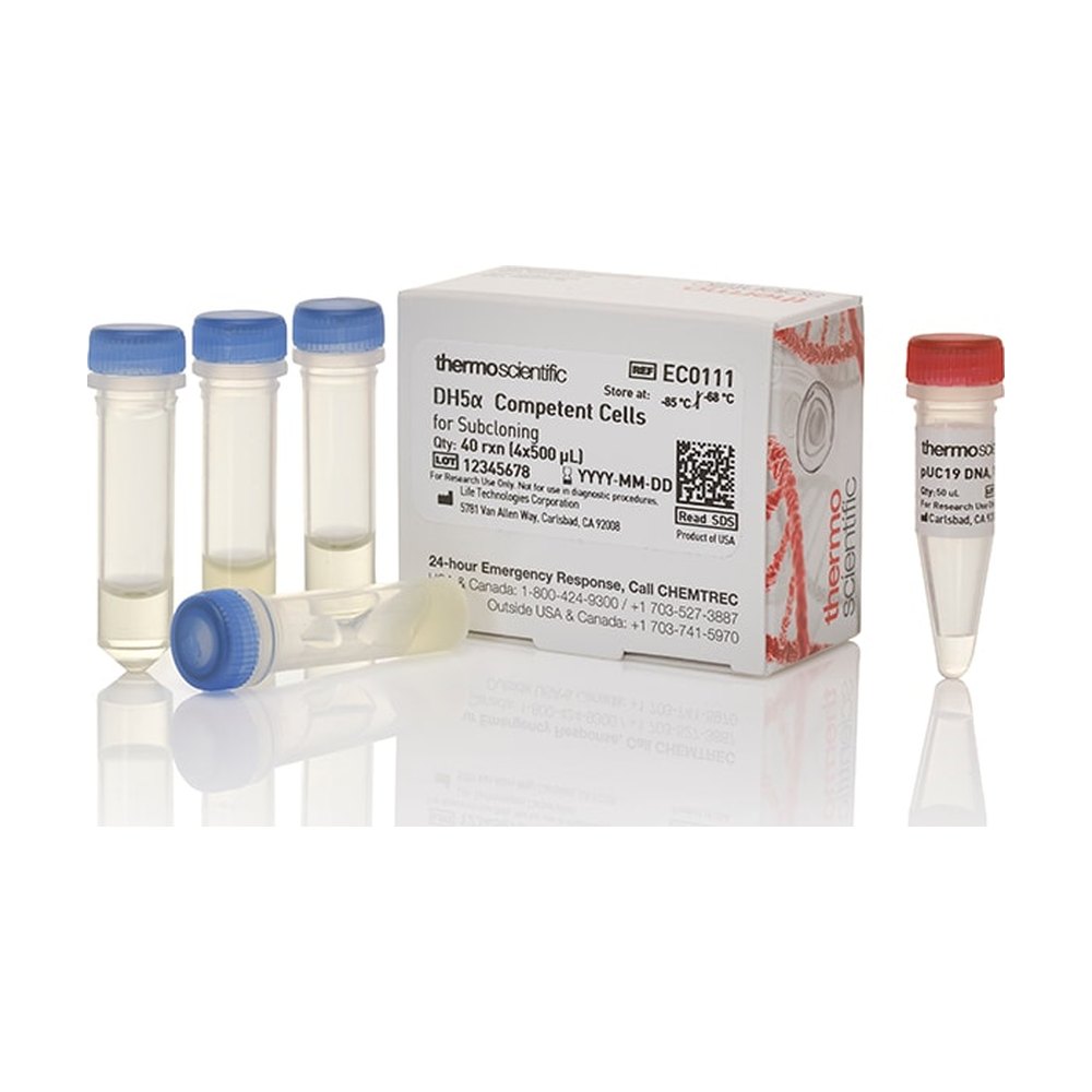 Thermo Scientific&trade;&nbsp;Cellules compétentes DH5&alpha;