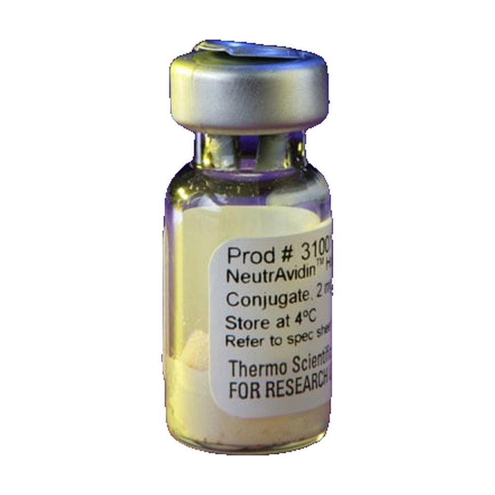 Thermo Scientific&trade;&nbsp;Protéine NeutrAvidin, HRP