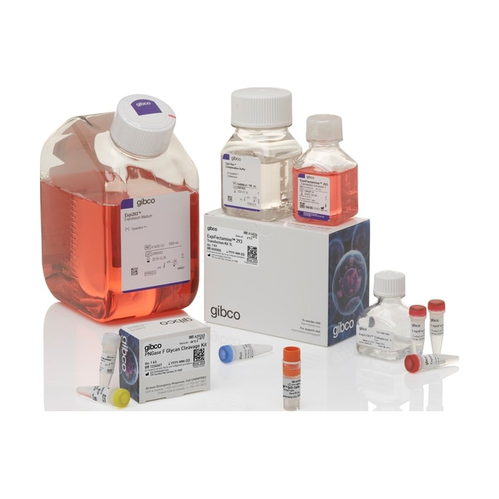 Gibco&trade;&nbsp;Kit système d’expression GnTI- Expi293&trade;
