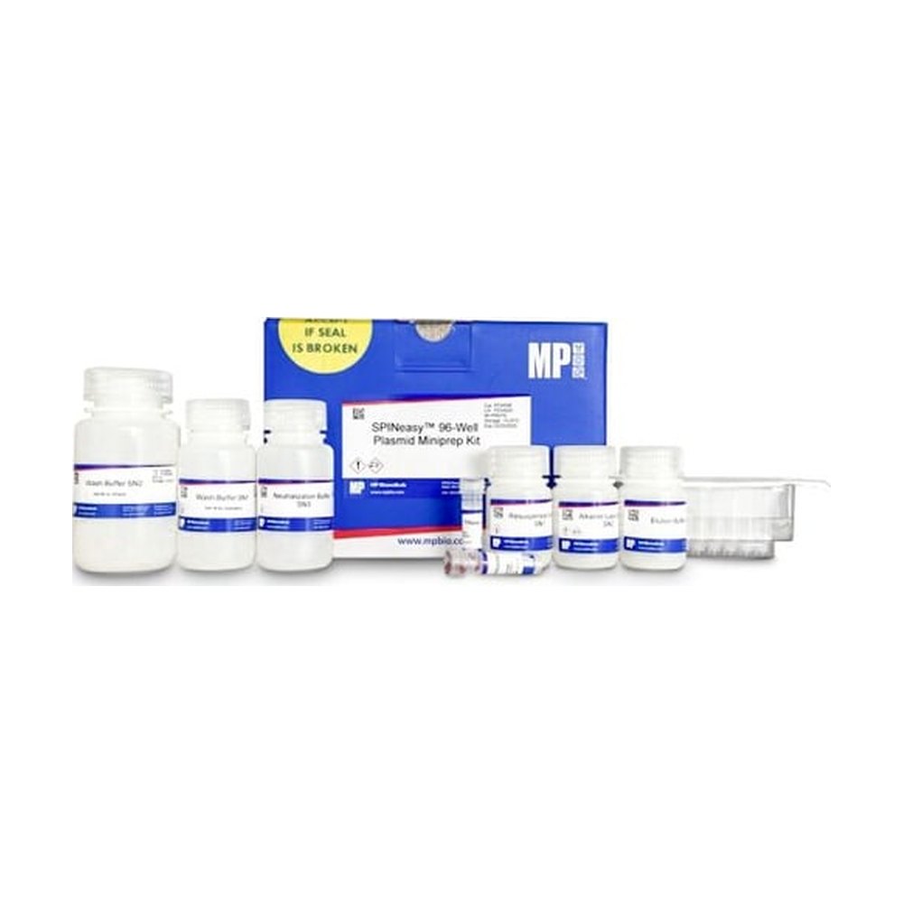 MP Biomedicals&nbsp;SPINeasy 96-Well Plasmid Miniprep Kit