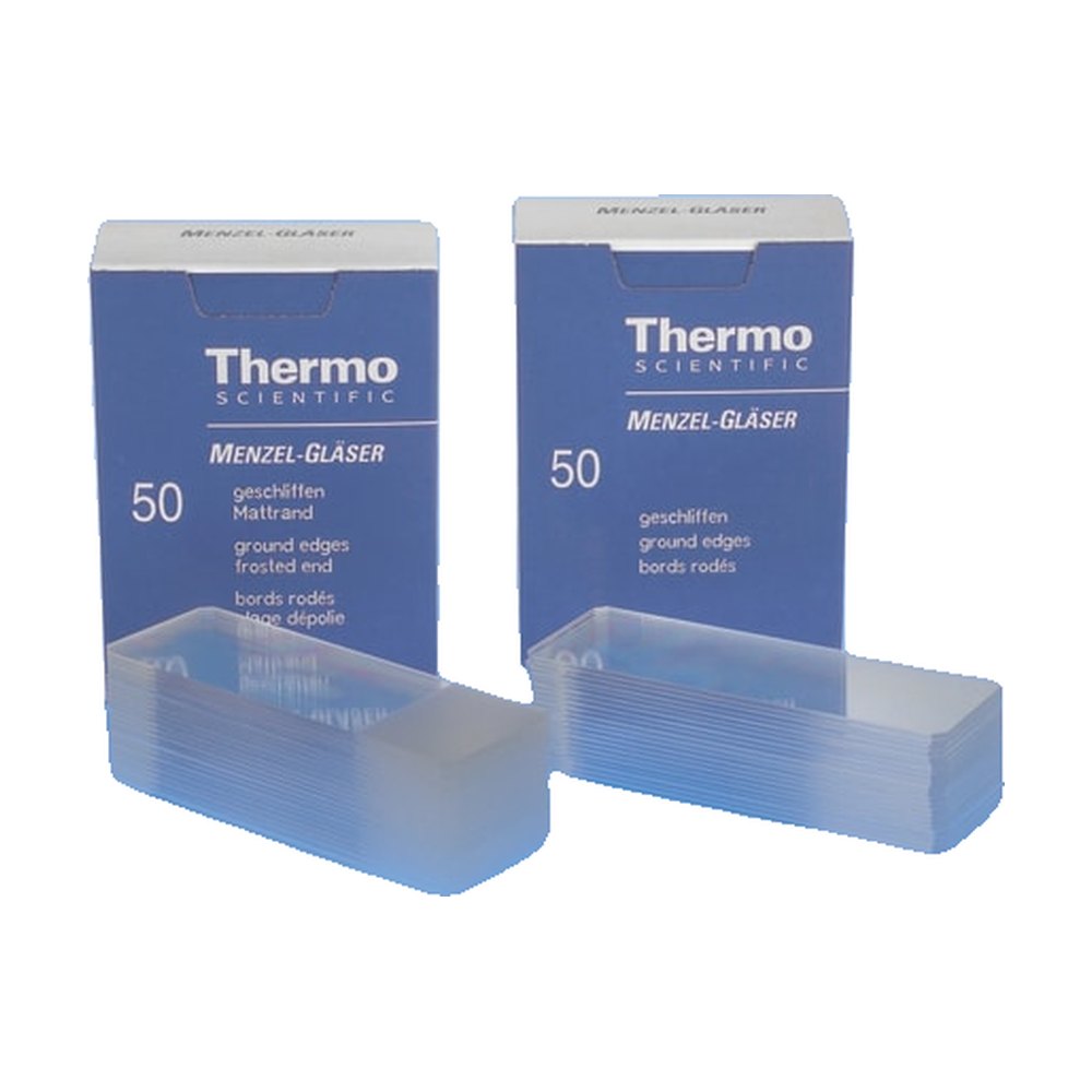 Thermo Scientific&trade;&nbsp;Lames de microscope dépolies, 45&deg;