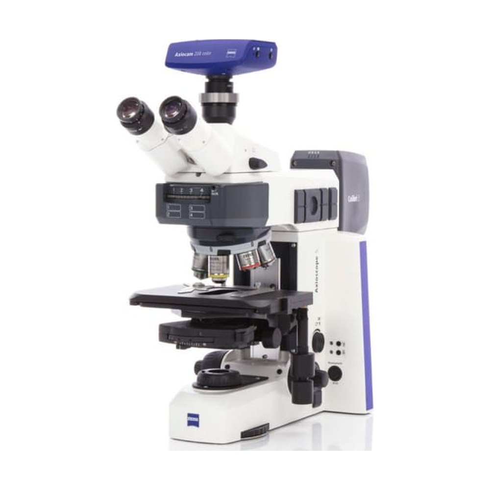 Microscope droit ZEISS Axioscope 5 — fluorescence