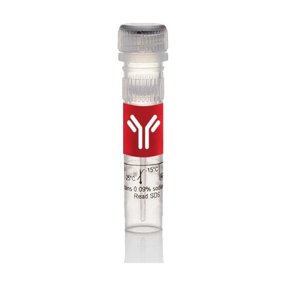 Gibco&trade;&nbsp;Human Fibronectin Native Protein