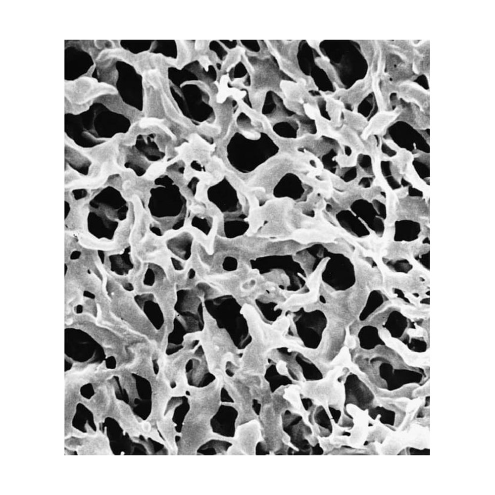 Merck&nbsp;Filtres à membrane en PVDF Durapore&trade; : Hydrophile : Taille des pores : 5,0 &mu;