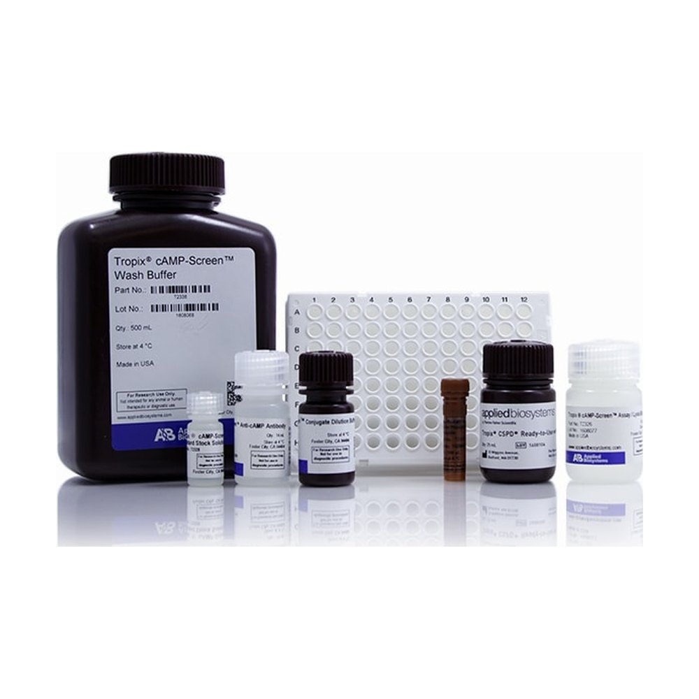 Applied Biosystems&trade;&nbsp;cAMP-Screen&trade; Cyclic AMP Immunoassay System