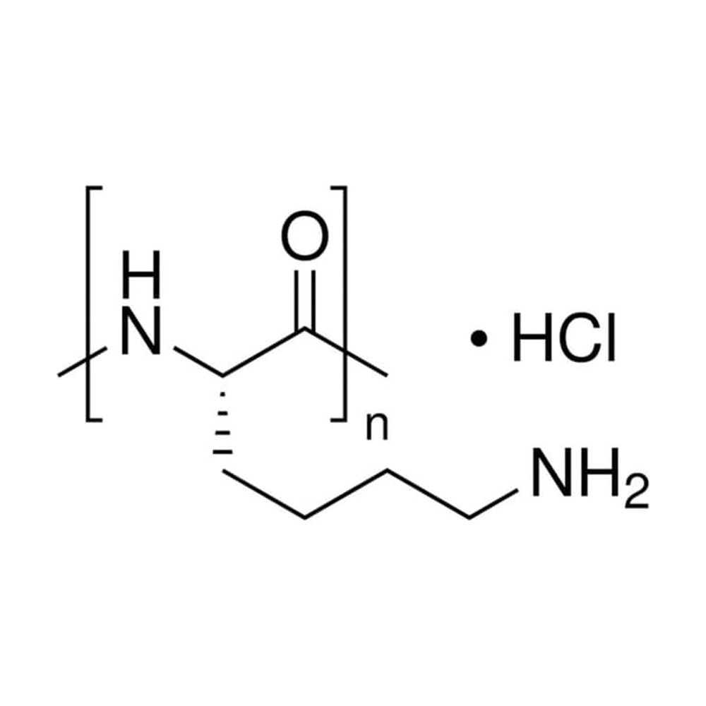 MP Biomedicals&trade;&nbsp;Poly-L-Lysine Hydrochloride