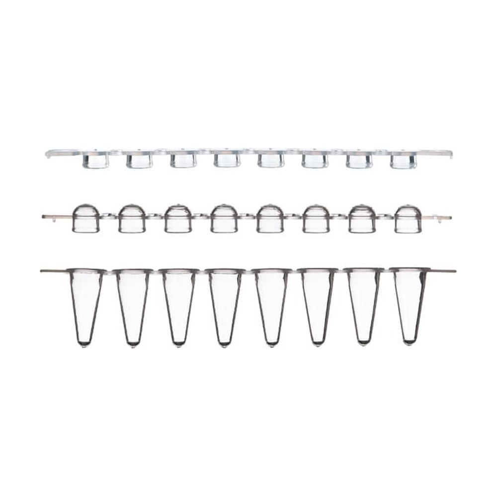 Thermo Scientific&trade;&nbsp;Tubes profil bas et bouchons plats, barrettes de 8, série Sustain&trade;