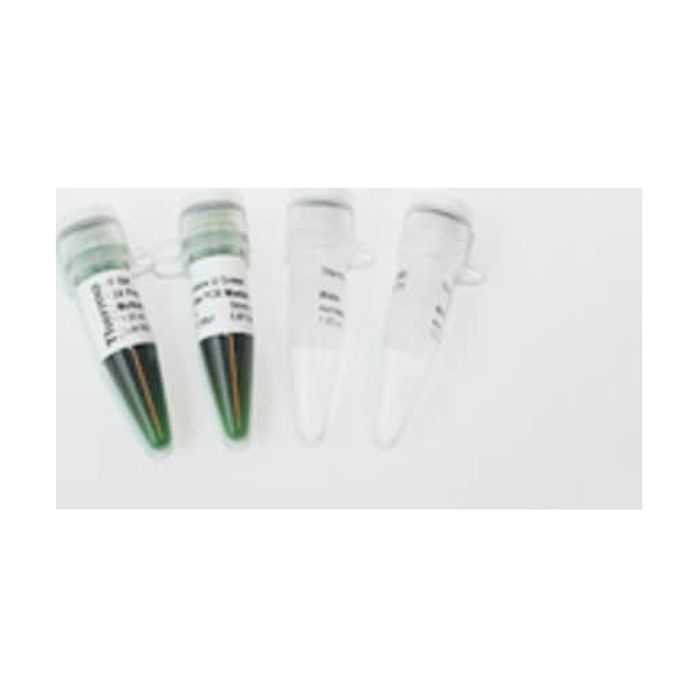 Thermo Scientific&trade;&nbsp;Phusion U Multiplex PCR Master Mixes