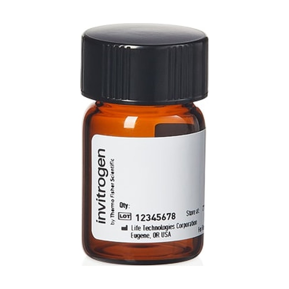 Invitrogen&trade;&nbsp;Tetramethylrhodamine Cadaverine, 5-(and-6)-((<i>N</i>-(5-Aminopentyl) Amino) Carbonyl) Tetramethylrhodamine, mixed isomers