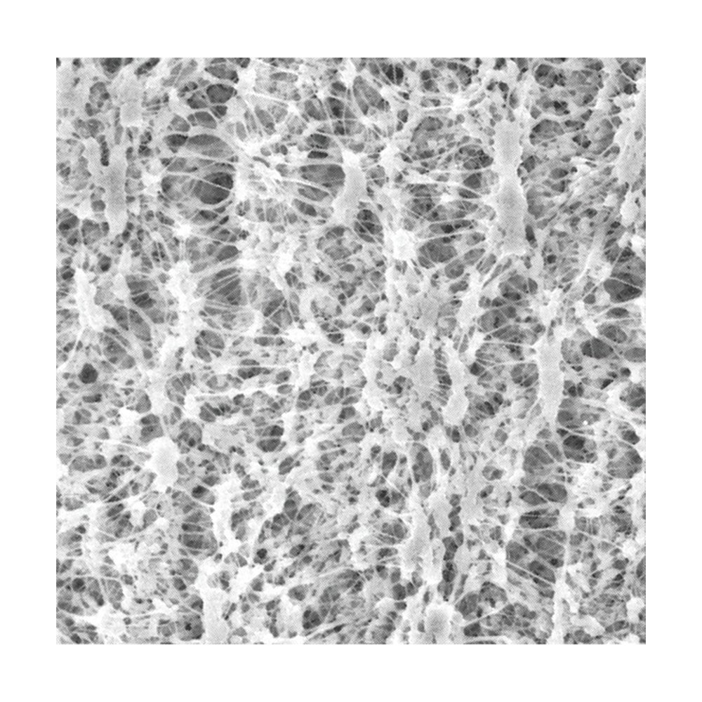MilliporeSigma&trade;&nbsp;Filtres à membrane Omnipore&trade;, 0,2 &mu;m