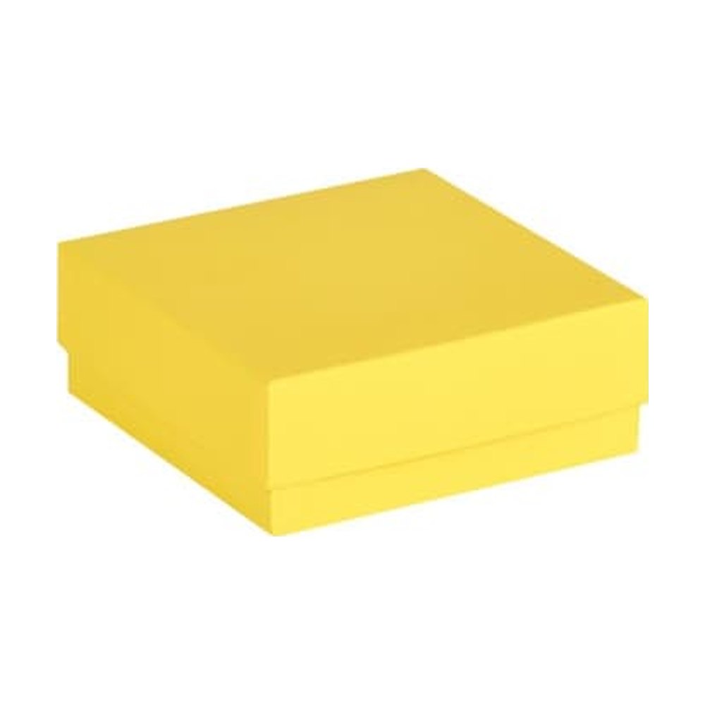 Ratiolab&trade;&nbsp;Cryoboîtes en carton à revêtement hydrofuge standard