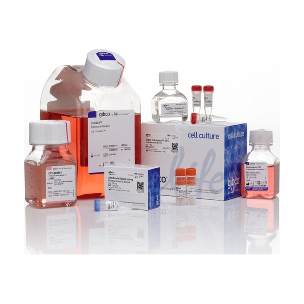 Gibco&trade;&nbsp;Expi293&trade; Expression System Kit