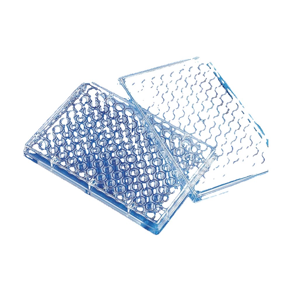 Axygen&trade;&nbsp;Plaque DeepWell à 96 puits en PP