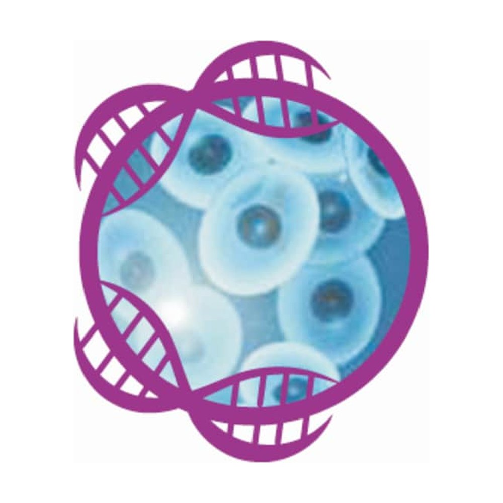 Thermo Scientific&trade;&nbsp;KingFisher&trade; Cell and Tissue DNA Kit