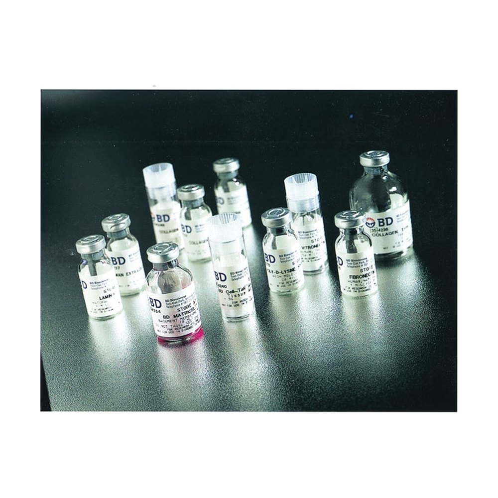 Corning&trade;&nbsp;Matrice extracellulaire, humaine
