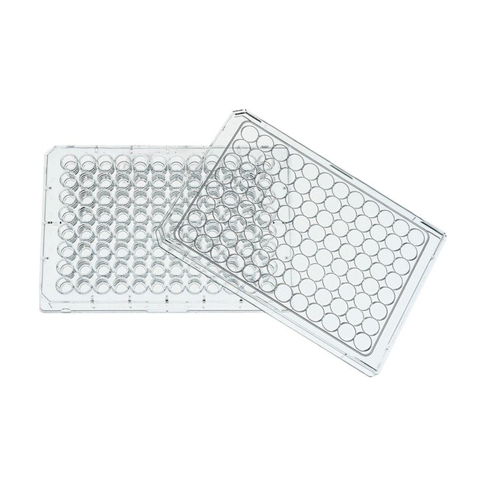 BRAND&trade;&nbsp;Microplaques à 384 puits BRAND<i>plates</i>&trade; pureGrade&trade; S