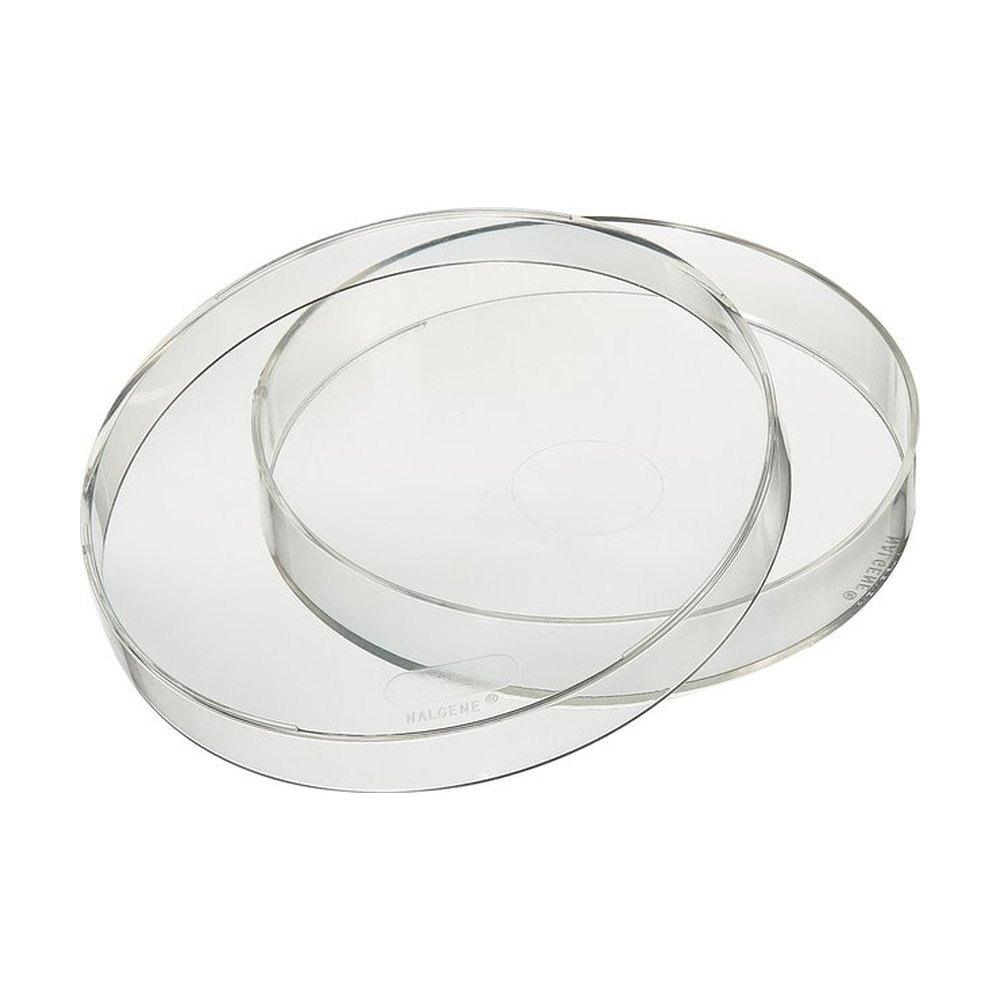 Thermo Scientific&trade;&nbsp;Boîte de Petri Nalgene&trade;