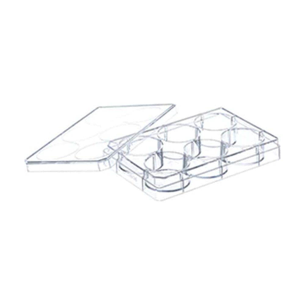 Greiner Bio-One&nbsp;Plaques multipuits revêtues de collagène type 1 CELLCOAT&trade;