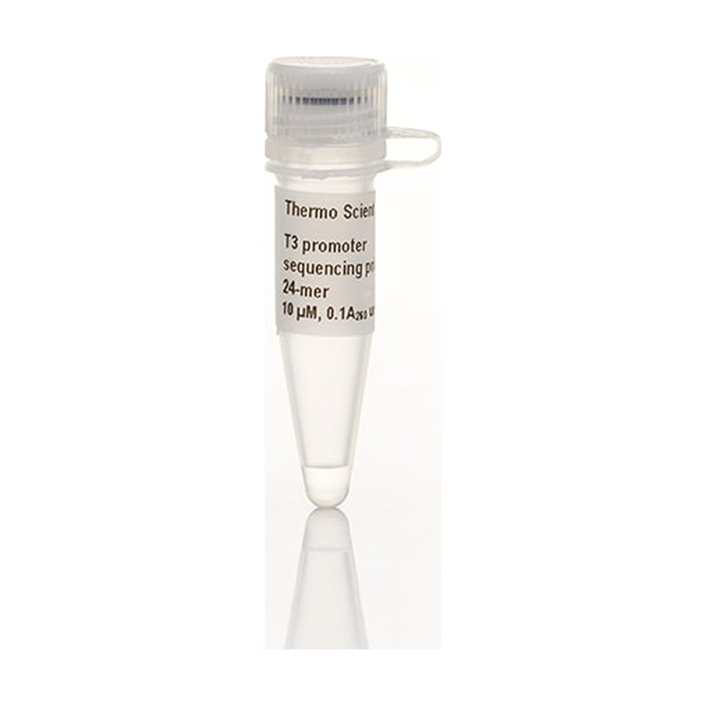 Thermo Scientific™ T3 promoter Sequencing Primer, 24-mer