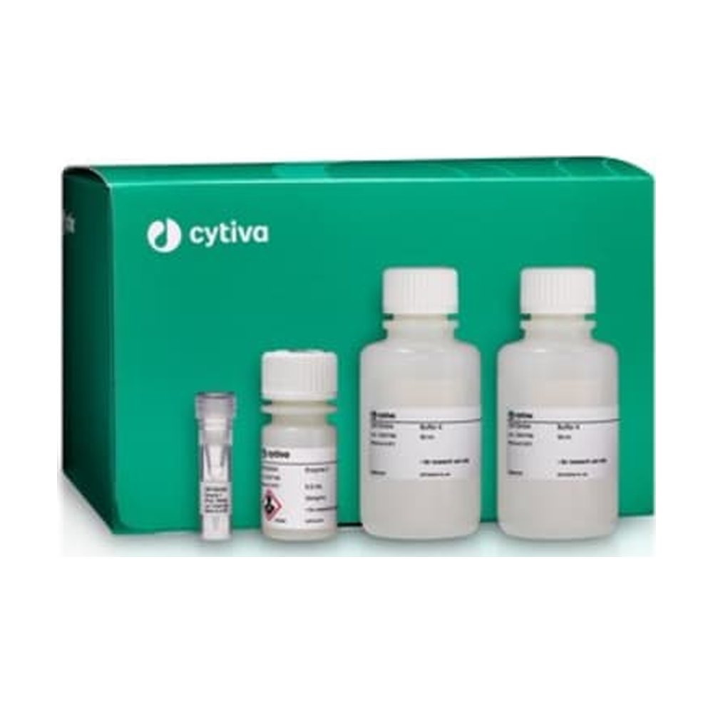 Cytiva&nbsp;Cold Dissociation Enzyme Mix - Kidney