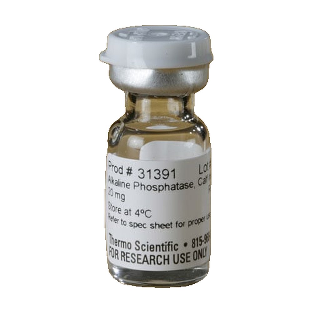 Thermo Scientific&trade;&nbsp;Pierce&trade; Alkaline Phosphatase