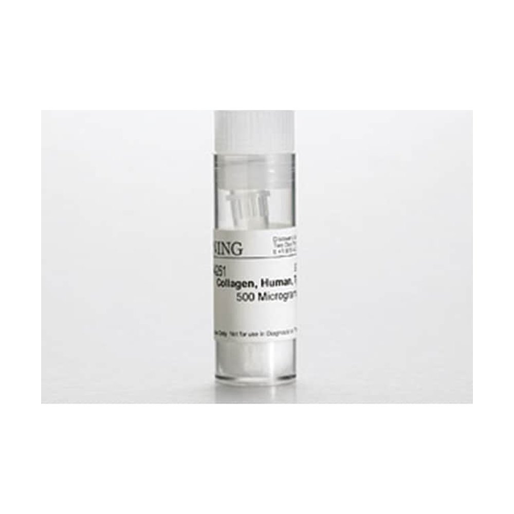 Corning&trade;&nbsp;Collagen VI, Human
