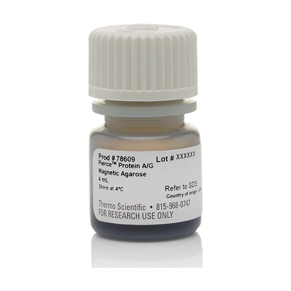 Pierce&trade;&nbsp;Pierce&trade; Protein A/G Magnetic Agarose Beads