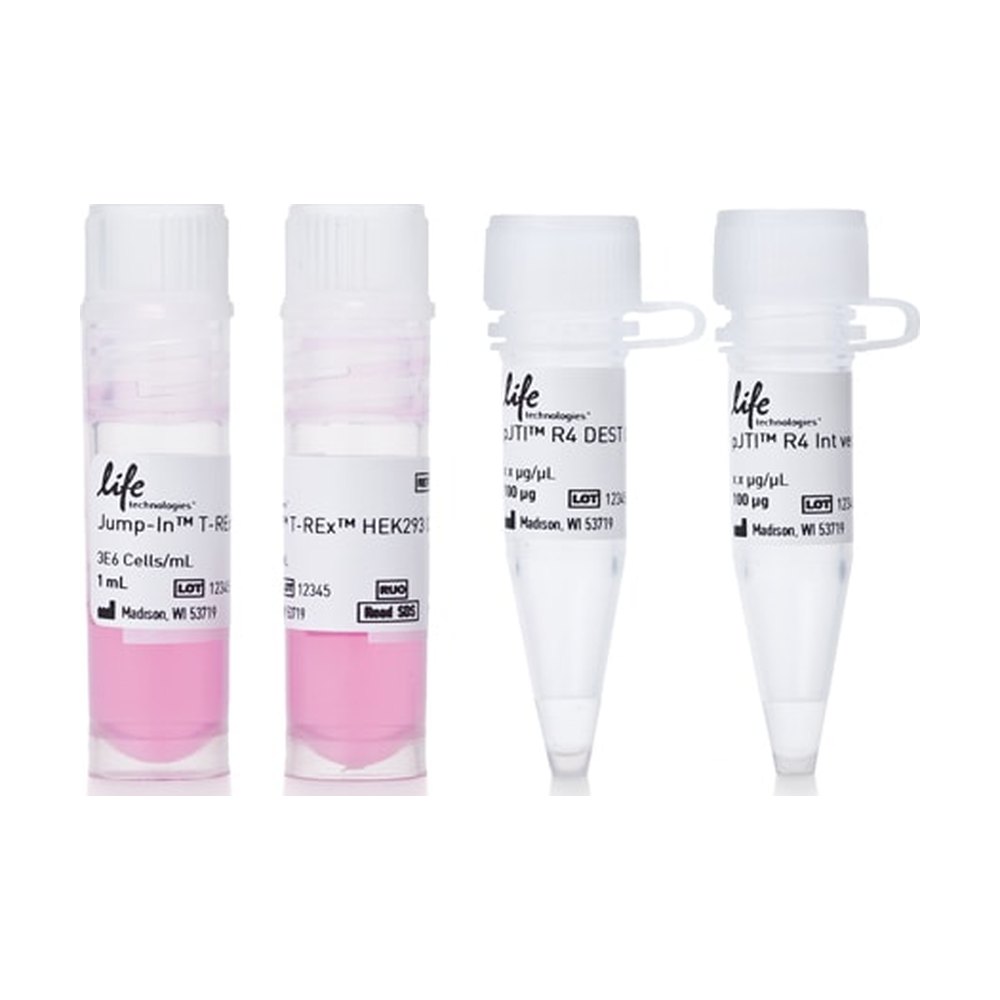 Thermo Scientific&trade;&nbsp;Jump In&trade; T-REx&trade; HEK 293 Kit
