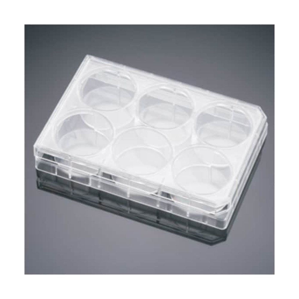 Corning&trade;&nbsp;Plaques multipuits à matrice Matrigel&trade; BioCoat&trade;