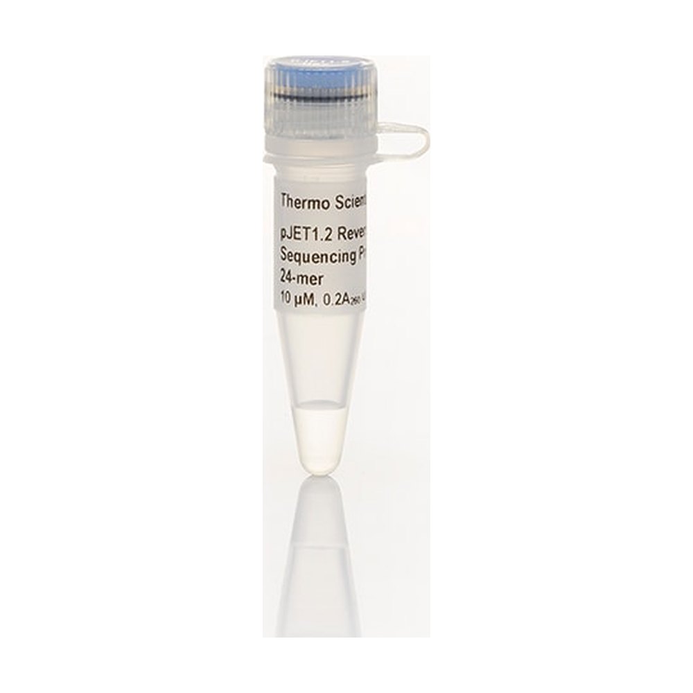 Thermo Scientific™ pJET1.2 Reverse Sequencing Primer, 24-mer
