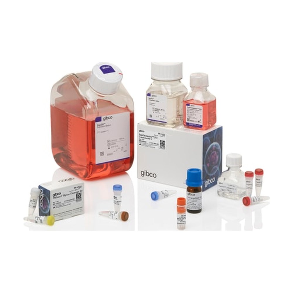 Gibco&trade;&nbsp;Kit système d’expression GnTI inductible par Expi293&trade;