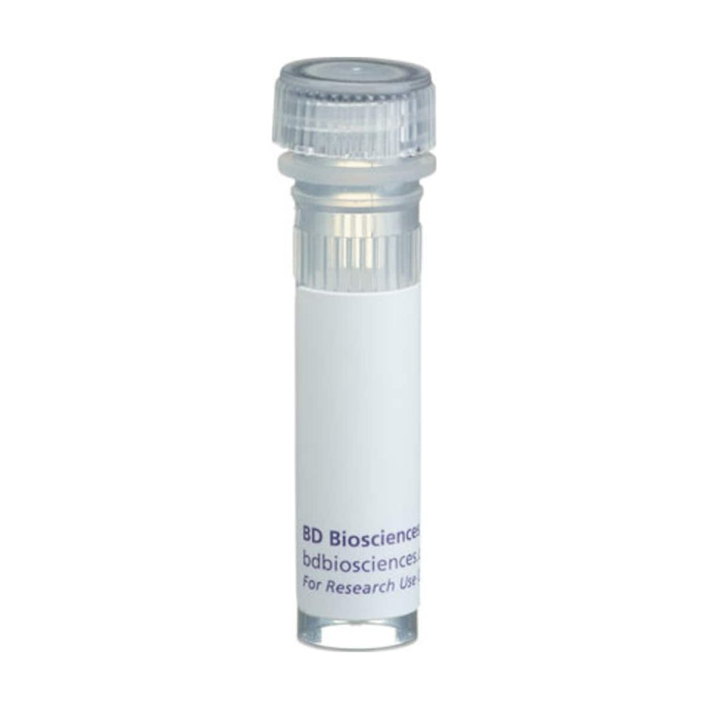 BD&nbsp;Transduction Laboratories Mouse Kidney Lysate