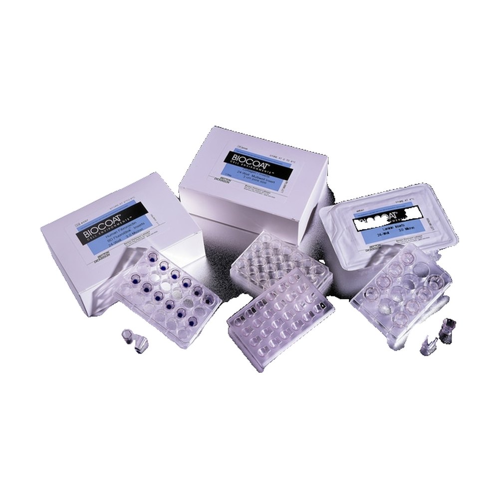 Falcon&trade;&nbsp;Inserts en fibronectine BioCoat&trade; avec membrane en PET de 0,4 &mu;m dans quatre plaques à 6 puits