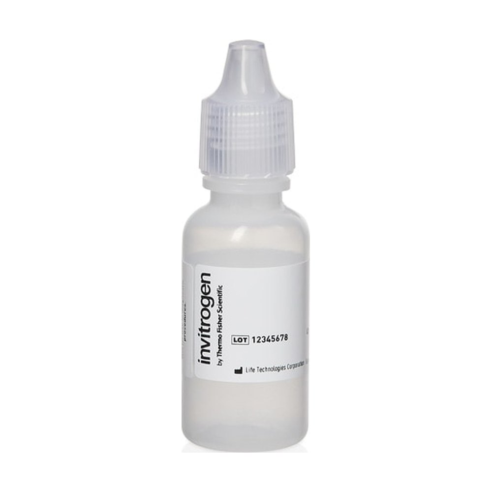 Molecular Probes&trade;&nbsp;Carboxyl Latex Beads, 4% w/v, 2 &mu;m