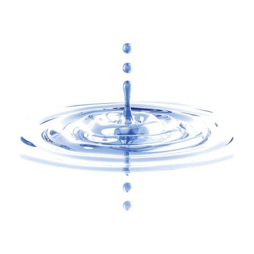 Accessoires et consommables Barnstead™ Nanopure™ R/O et système d’alimentation en eau distillée