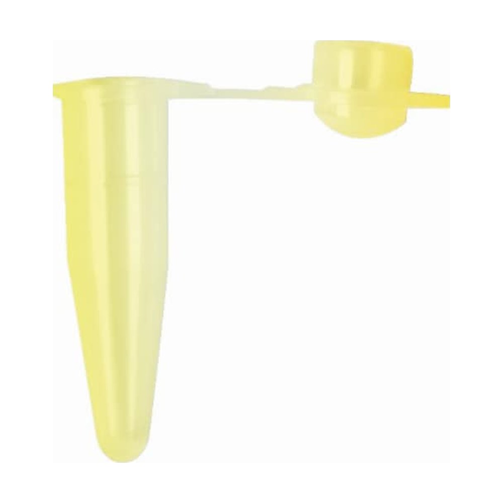 Axygen&trade;&nbsp;Tubes PCR Axygen&trade; avec bouchon à dôme de 0,2 ml