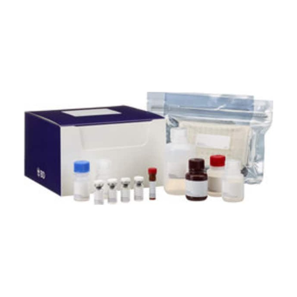 BD&nbsp;Kit II ELISA pour IFN-gamma; humain
