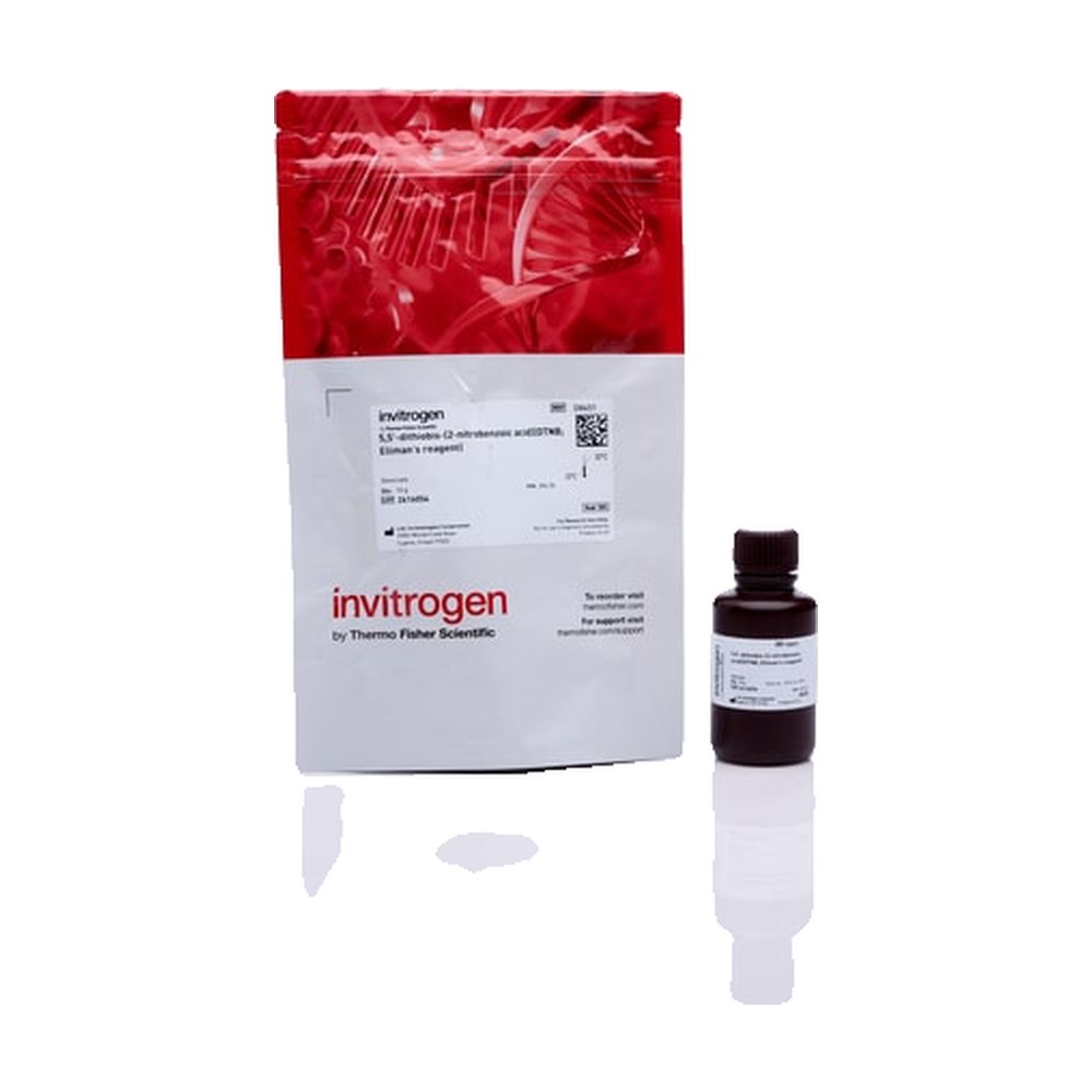 Molecular Probes&trade;&nbsp;DTNB; Ellman's Reagent, 5,5'-Dithiobis-(2-Nitrobenzoic Acid)