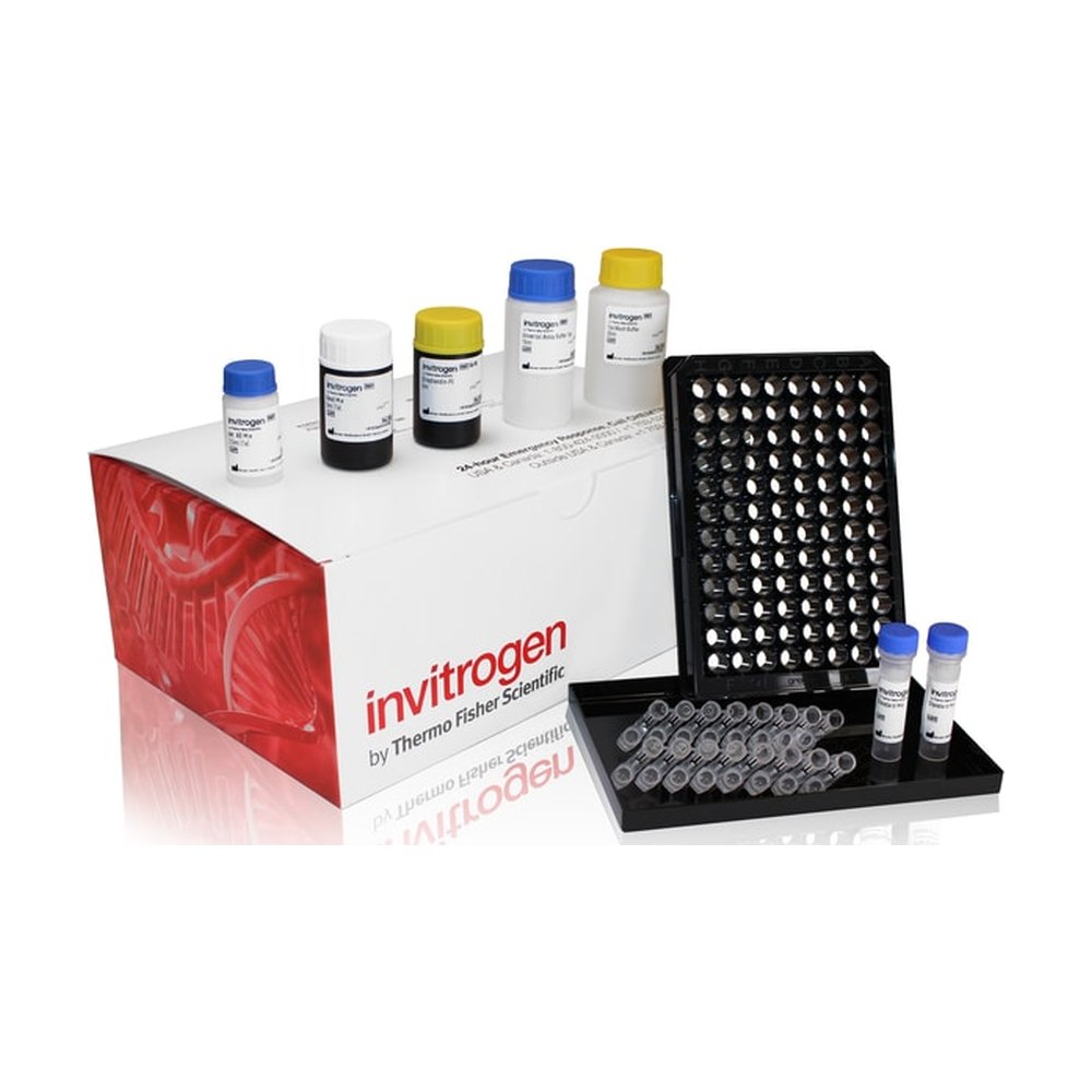 Invitrogen&trade;&nbsp;ProcartaPlex&trade; MAPK Pathway Panel (Total), 6plex