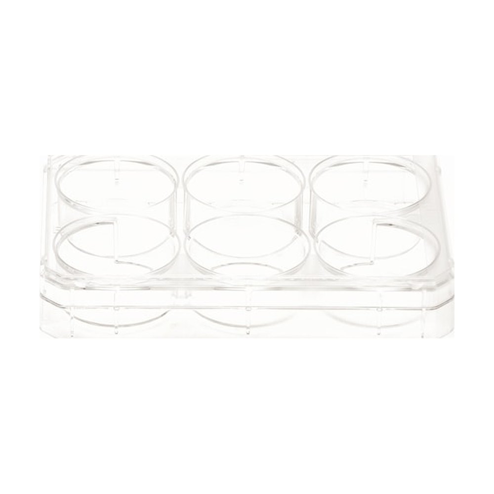 Thermo Scientific&trade;&nbsp;Plaques multipuits Nunc&trade; à surface HydroCell&trade;