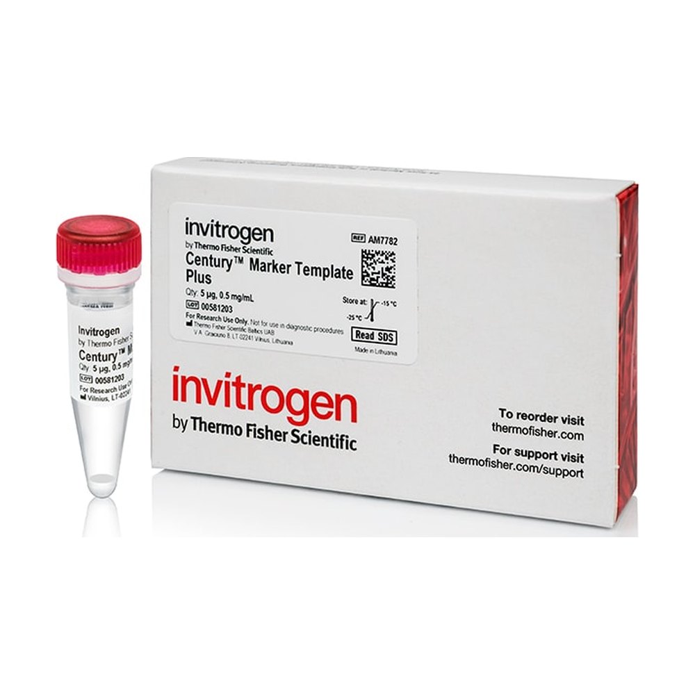 Invitrogen™ RNA Century™-Plus Marker Templates