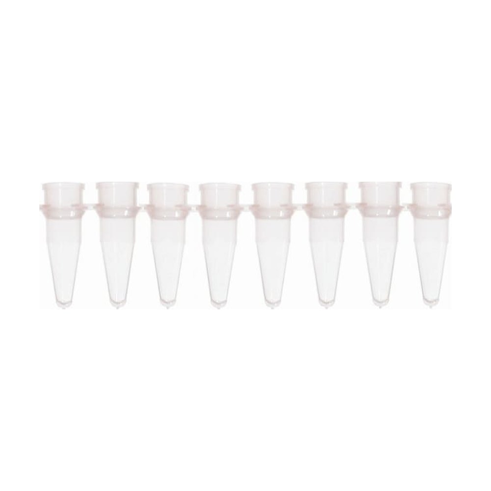 Corning&trade;&nbsp;Barrettes de tubes à 8 puits en polypropylène Thermowell&trade; GOLD